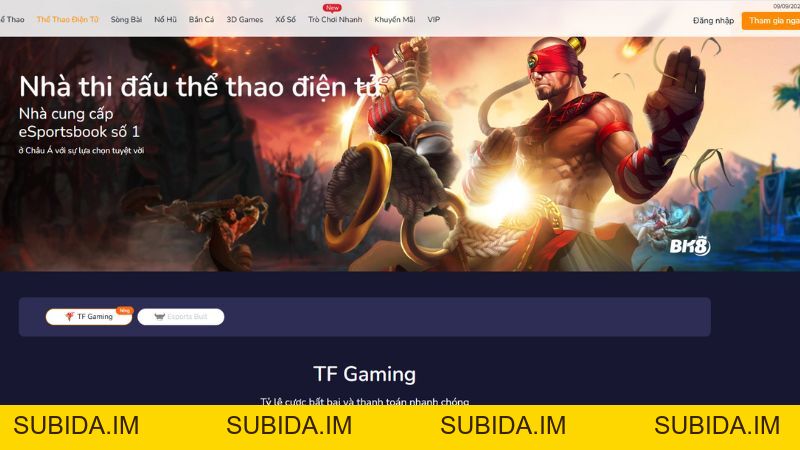 Esport BK8 - Trải nghiệm cá cược thể thao điện tử đỉnh cao - subida