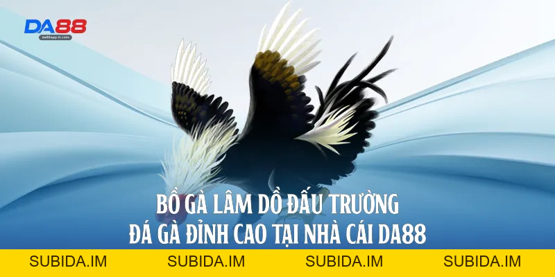 Đá Gà Da88 - Sảnh Cược Trực Tiếp Đỉnh Cao Và Uy Tín - subida