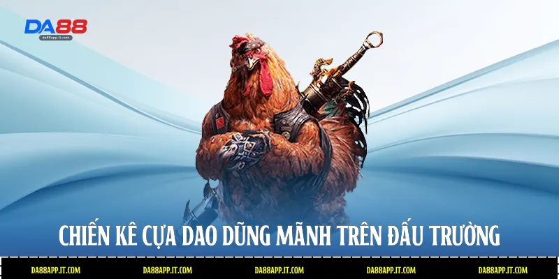 Đá Gà Phi Tại Da88 - Đấu Trường Cựa Dao Đẳng Cấp Quốc Tế - subida