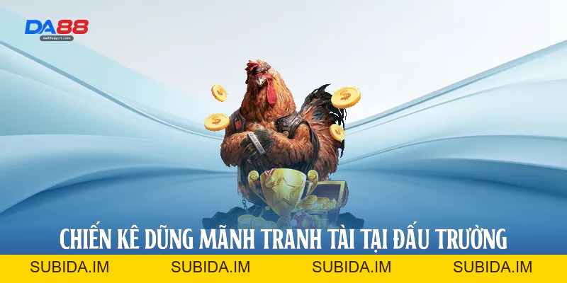 Đá Gà Da88 - Sảnh Cược Trực Tiếp Đỉnh Cao Và Uy Tín - subida