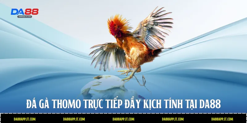 Đá Gà Thomo Tại Da88 - Sân Chơi Cá Cược Đỉnh Cao Và Uy Tín - subida