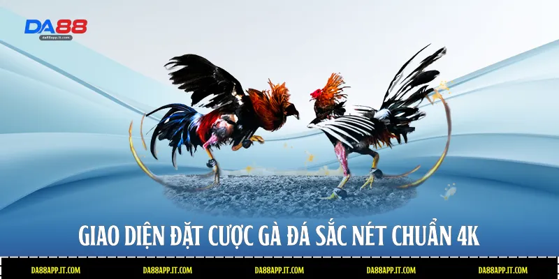 Đá Gà Da88 - Sảnh Cược Trực Tiếp Đỉnh Cao Và Uy Tín - subida