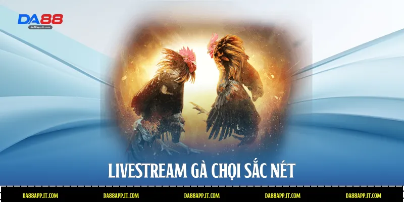 Đá Gà Phi Tại Da88 - Đấu Trường Cựa Dao Đẳng Cấp Quốc Tế - subida