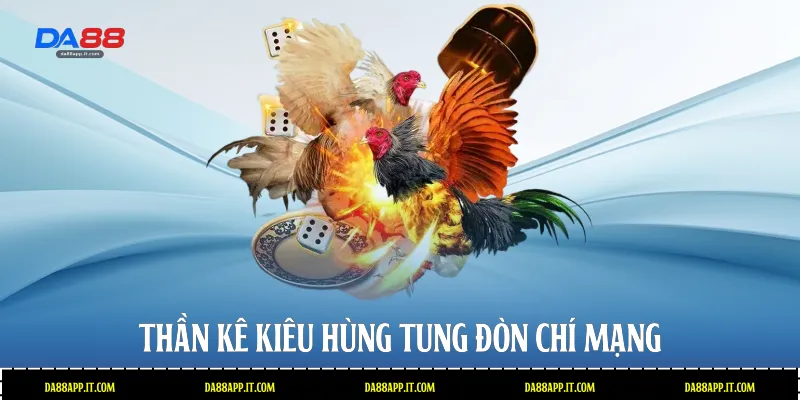 Đá Gà Thomo Tại Da88 - Sân Chơi Cá Cược Đỉnh Cao Và Uy Tín - subida