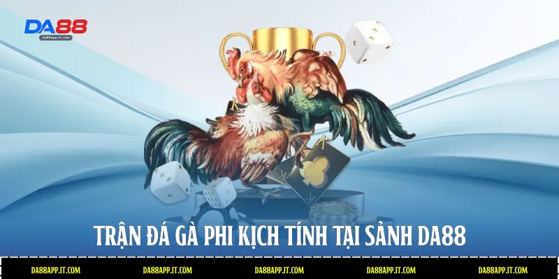 Đá Gà Phi Tại Da88 - Đấu Trường Cựa Dao Đẳng Cấp Quốc Tế - subida
